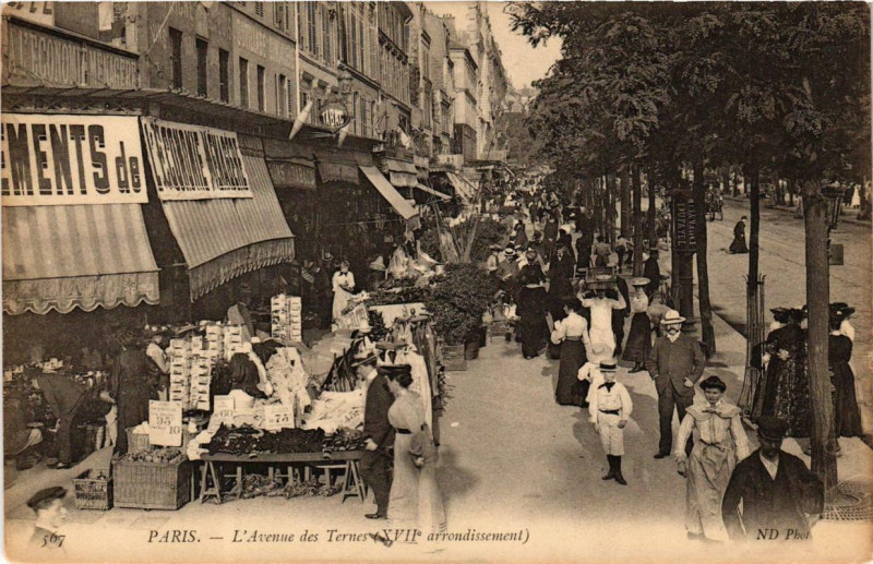 Carte postale ancienne L'Avenue des Ternes à Paris 17e