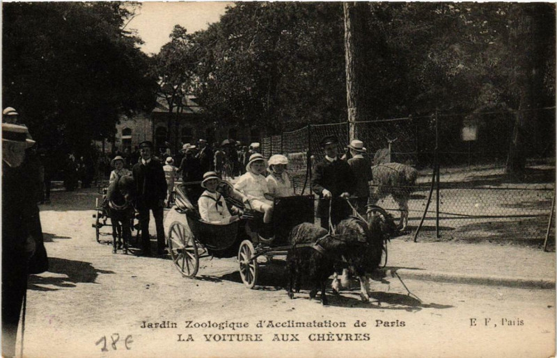 Carte postale ancienne Jardin Zoologique d'Acclimatation de Paris - La voiture aux chèvres à Paris 16e