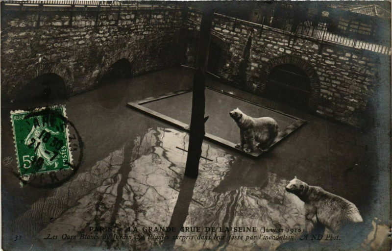 Carte postale ancienne Paris La Grande Crue de la Seine 1910 Jardin des Plantes à Paris