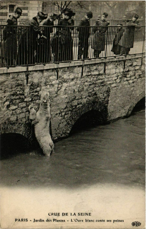 Carte postale ancienne Paris Crue de la Seine 1910 Jardin des Plantes à Paris