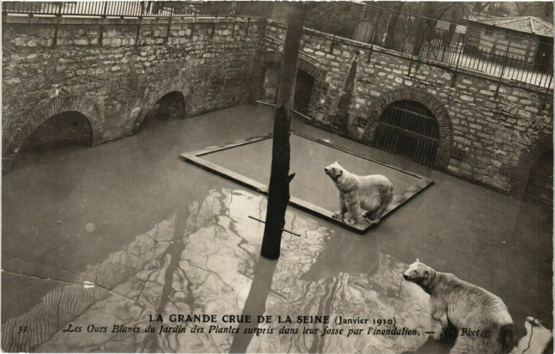 Carte postale ancienne Paris La Grande Crue de la Seine 1910 Jardin des Plantes à Paris