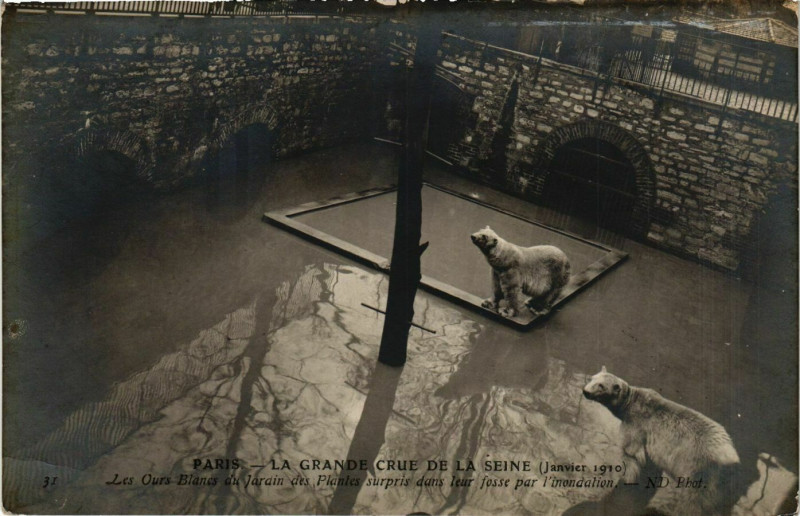 Carte postale ancienne Paris La Grande Crue de la Seine 1910 Jardin des Plantes à Paris