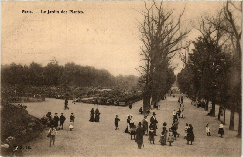 Carte postale ancienne Paris 5e Jardin des Plantes ed. V.P. Paris à Paris 5e