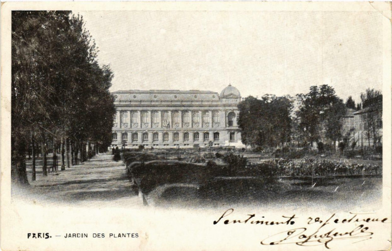 Carte postale ancienne Paris (5e) Jardin des Plantes à Paris 5e