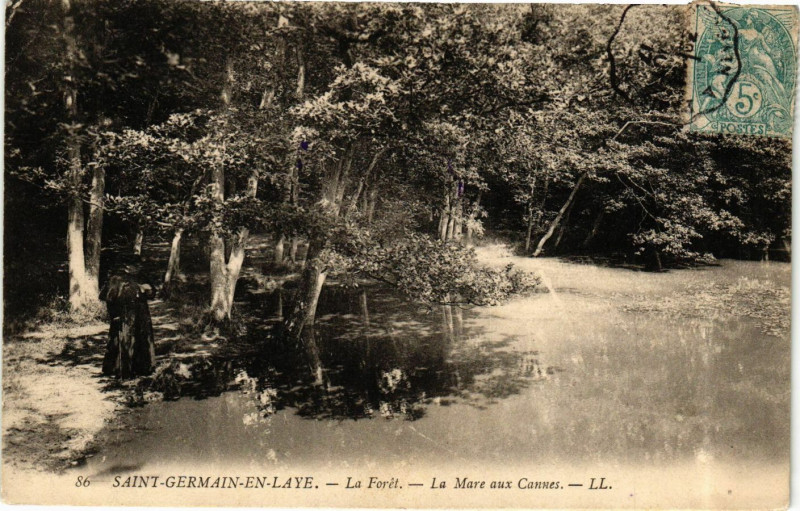 Carte postale ancienne Saint-Germain-en-Laye - La Foret - La Mare aux Cannes à Saint-Germain-en-Laye