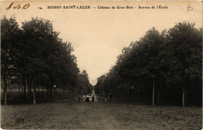 Carte postale ancienne Boissy-Saint-Leger - Chateau de Gros-Bois - Avenue de l'Ecole à Boissy-Saint-Léger