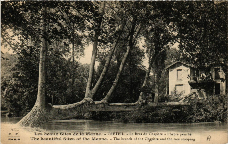 Carte postale ancienne Les Beaux Sites de la Marne Creteil Bras de Chapitre a l'Arbre à Créteil