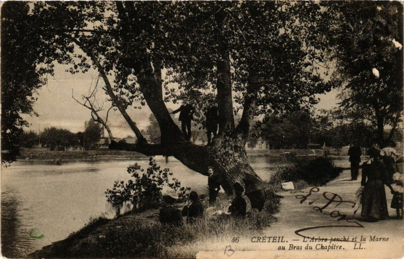 Carte postale ancienne Creteil - L'Arbre penché et la Marne au Bras du Chapitre à Créteil