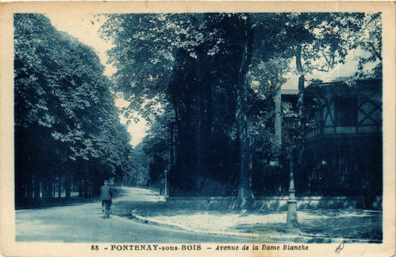 Carte postale ancienne Fontenay-sous-Bois - Avenue de la Dame Blanche à Fontenay-sous-Bois