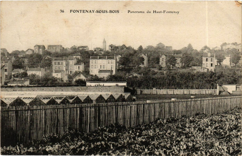 Carte postale ancienne Fontenay-sous-Bois - Panorama du Haut-Fontenay à Fontenay-sous-Bois