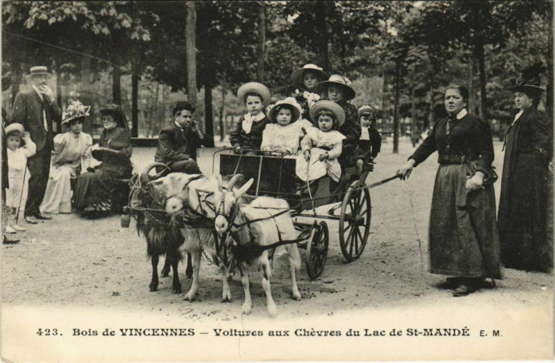 Carte postale ancienne Bois de Vincennes Voitres aux chevres Lac de Saint-Mandé à Vincennes