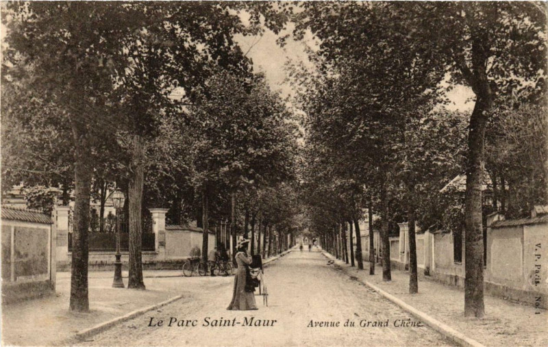 Carte postale ancienne Le Parc Saint-Maur Avenue du Grand Chene