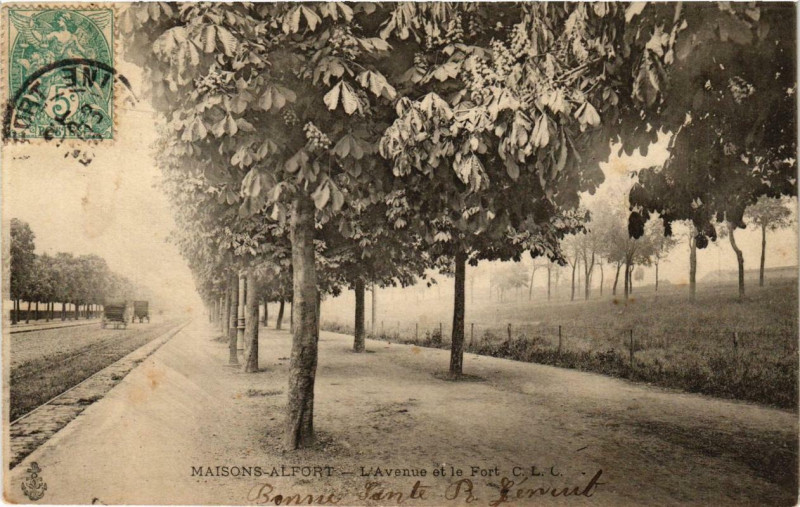 Carte postale ancienne Maisons-Alfort L'Avenue et le Fort à Maisons-Alfort
