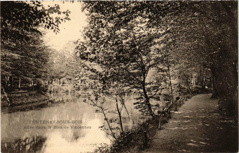 Carte postale ancienne Fontenay-sous-Bois Allée dans le Bois de Vincennes à Fontenay-sous-Bois
