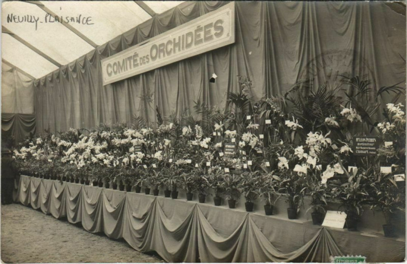Carte postale ancienne Carte photo Neuilly-Plaisance Comité des Orchidées à Neuilly-Plaisance