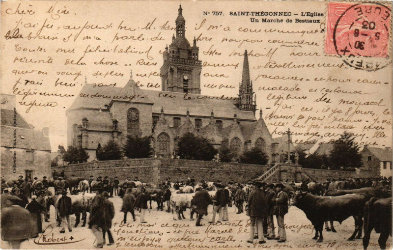 Carte postale ancienne Saint-Thegonnec - Saint-Thegonnec - L'Eglise - Marché de Bestiaux