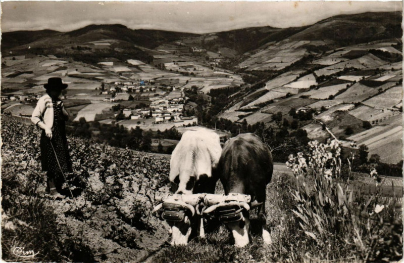 Carte postale ancienne Le Perreon La Creuse