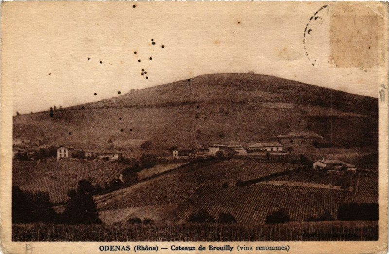Carte postale ancienne Odenas - Coteaux de Brouilly à Odenas