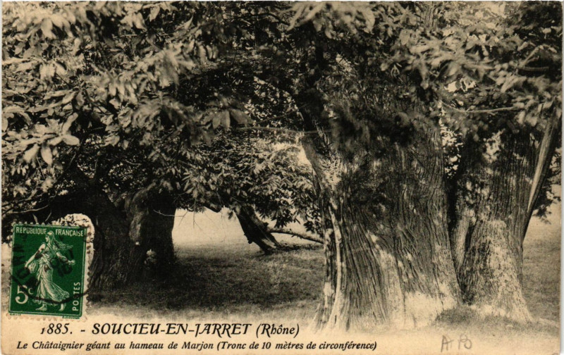 Carte postale ancienne Soucieu-en-Jarret - Le Chataignier au hameau de Marjon