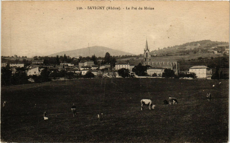 Carte postale ancienne Savigny - Le Pré du Moine à Savigny