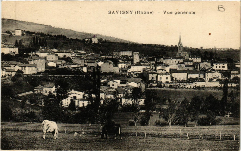 Carte postale ancienne Savigny - Vue générale à Savigny