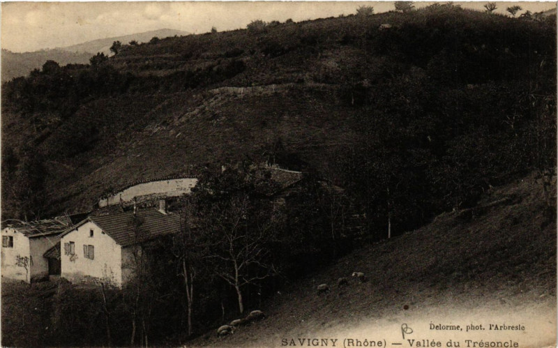 Carte postale ancienne Savigny - Vallée du Trésoncle à Savigny