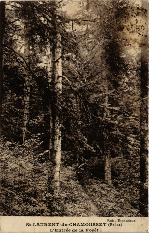 Carte postale ancienne Saint-Laurent-de-Chamousset - L'entrée de la Foret à Saint-Laurent-de-Chamousset