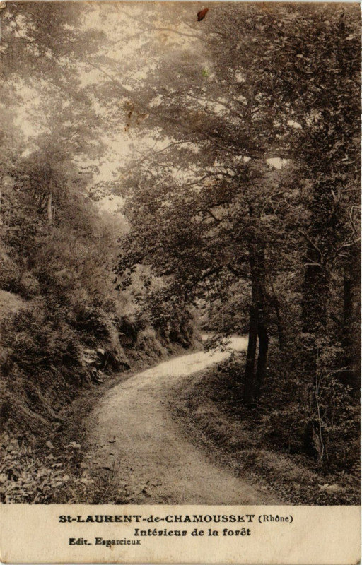 Carte postale ancienne Saint-Laurent-de-Chamousset - Inteview de la foret à Saint-Laurent-de-Chamousset