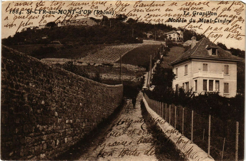 Carte postale ancienne Saint-Cyr-au-Mont-d'Or - Le Grapillon à Saint-Cyr-au-Mont-d'Or