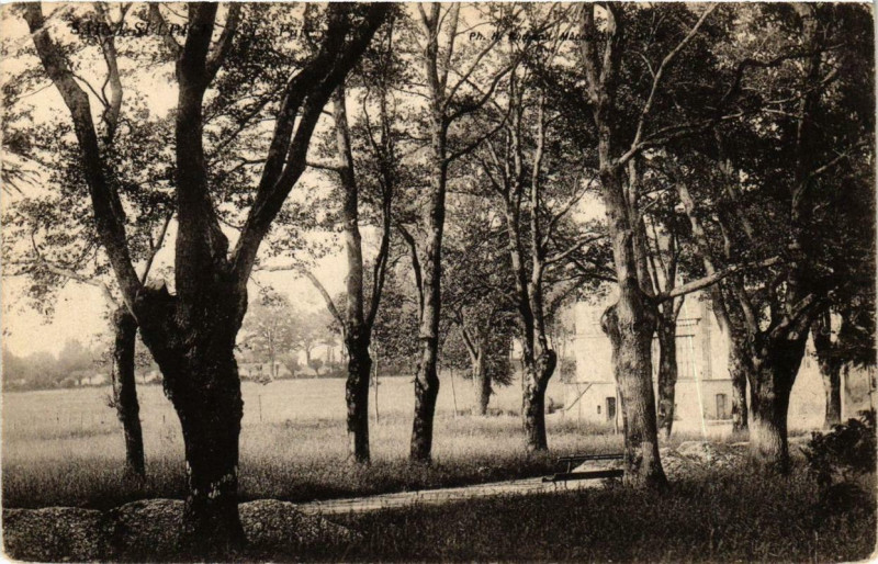 Carte postale ancienne Saint-Sulpice. Le Parc