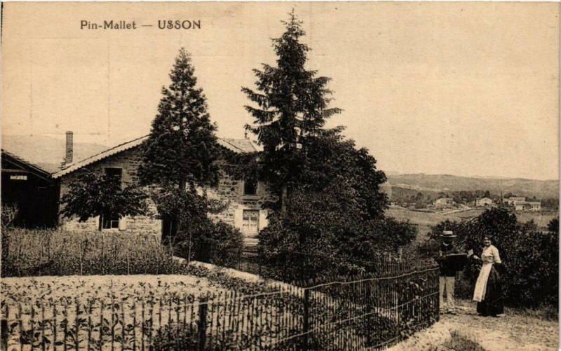 Carte postale ancienne Usson Pin Mallet