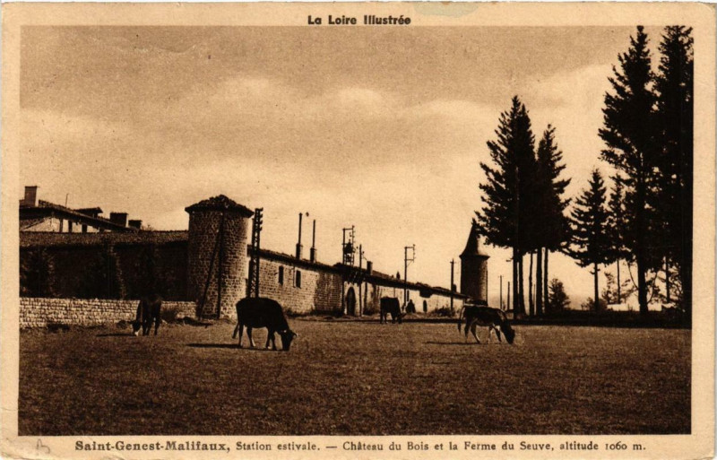 Carte postale ancienne Saint-Genest Malifaux Chateau du Bois et la Ferme du Seuve à Saint-Genest-Malifaux