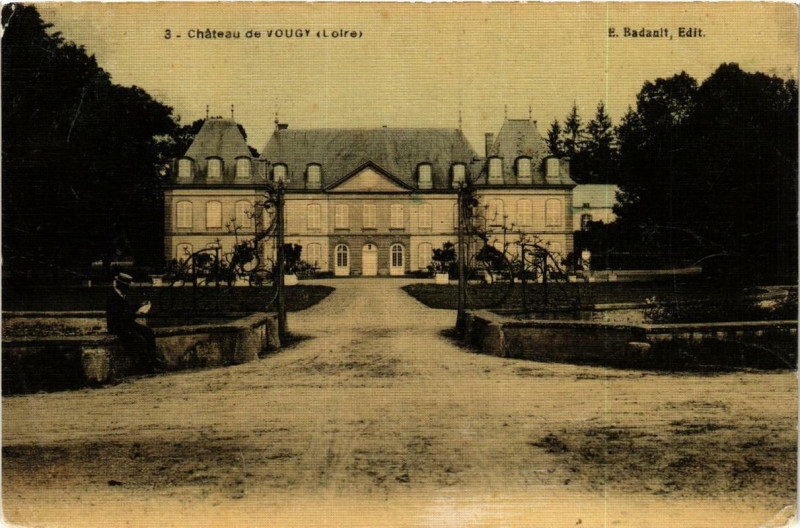 Carte postale ancienne Chateau de Vougy à Vougy