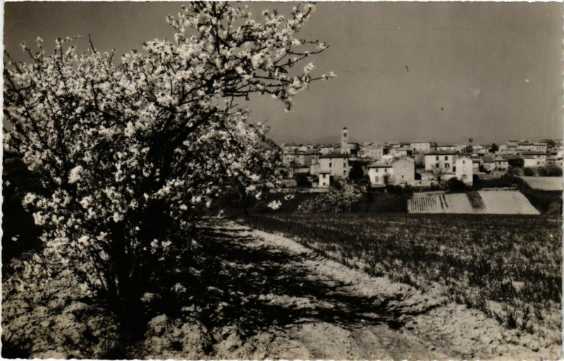 Carte postale ancienne Socieu en Jarrest - Le Village