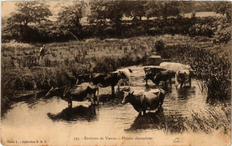 Carte postale ancienne Env. de Vienne - Plaisirs champetres à Vienne