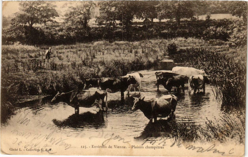 Carte postale ancienne Env. de Vienne - Plaisirs champetres à Vienne