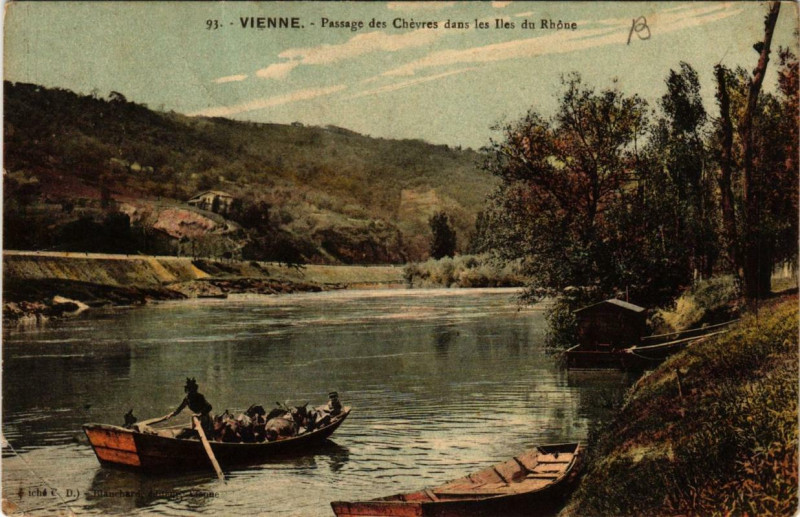 Carte postale ancienne Vienne - Passage des Chevres dans les Iles du Rhone à Vienne