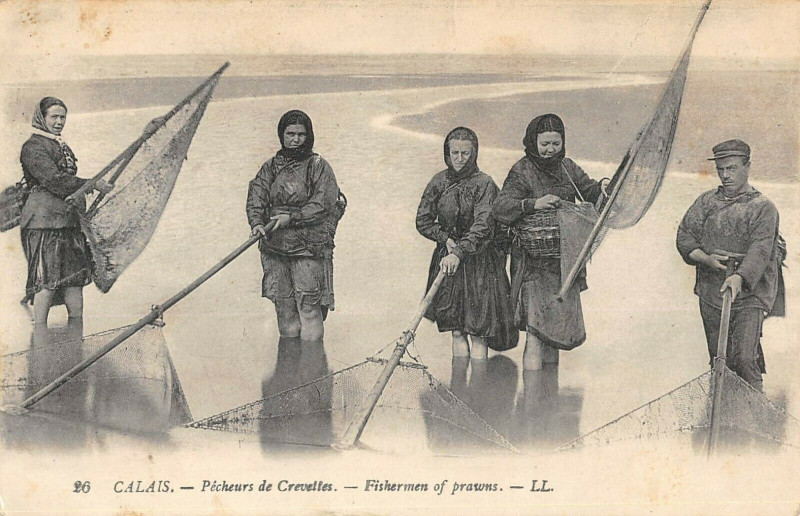Carte postale ancienne Calais Pecheurs De Crevettes à Calais