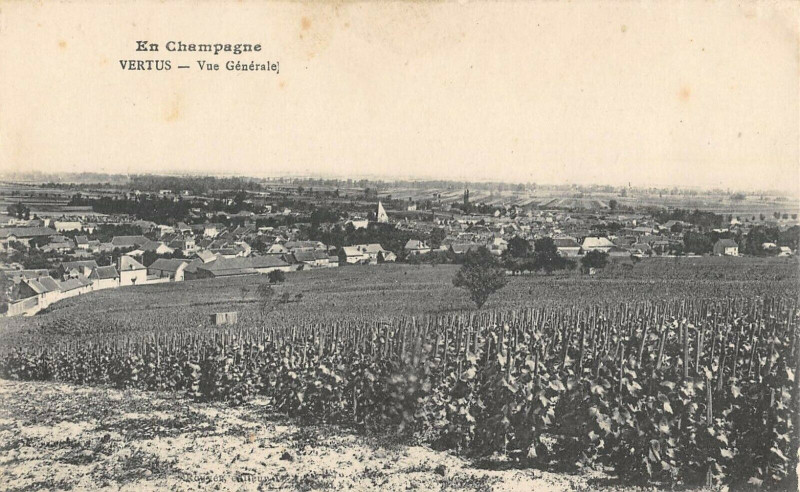 Carte postale ancienne Vertus Vue Generale