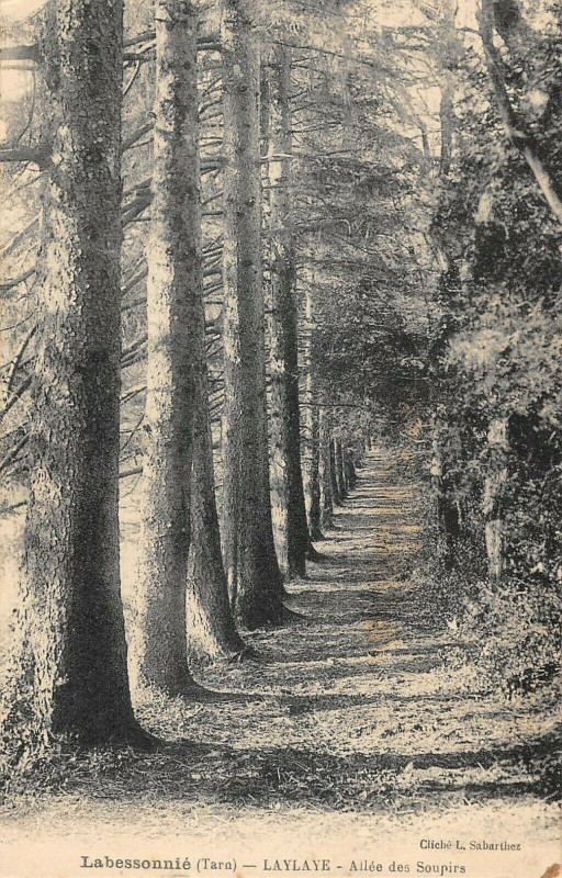 Carte postale ancienne Labessonnie Laylaye Allee Des Soupirs