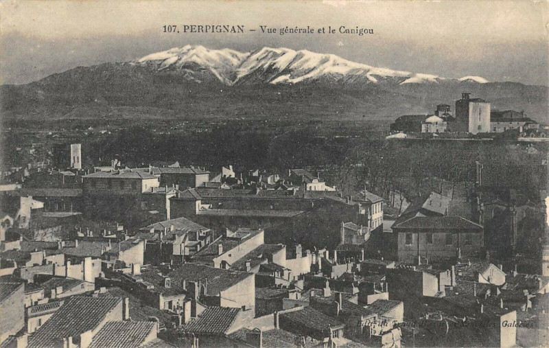 Carte postale ancienne Perpignan Vue Generale Et Le Canigou à Perpignan