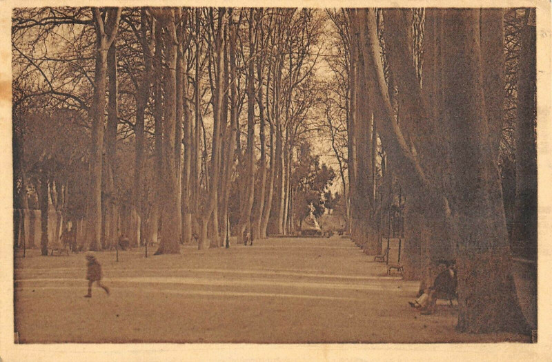 Carte postale ancienne Perpignan Allee Du Square à Perpignan