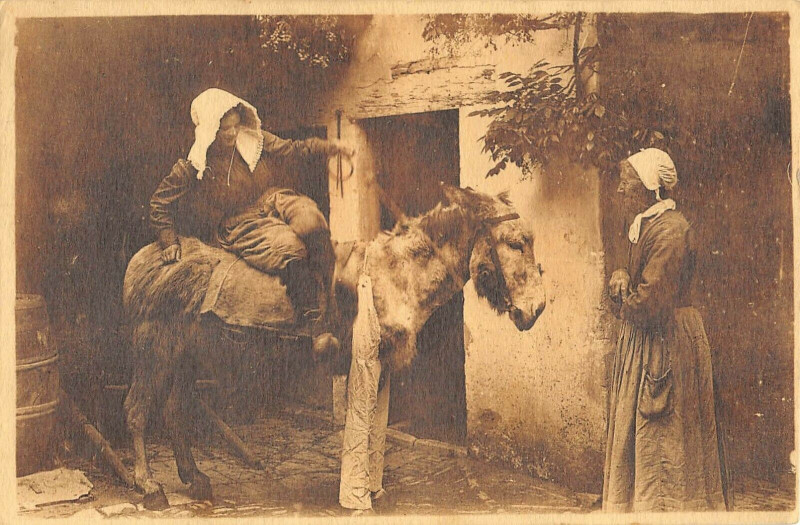 Carte postale ancienne Ile De Re Le Bois Retour Des Champs Ane En Culotte à Bois