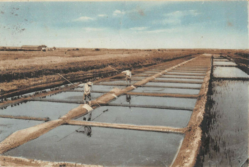 Carte postale ancienne Ile De Re Marais Salants