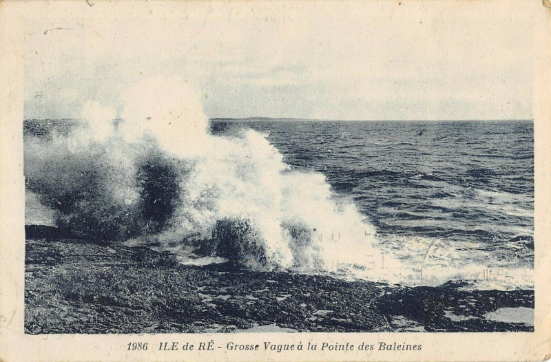 Carte postale ancienne Ile De Re Grose Vague A La Pointe Des Baleines