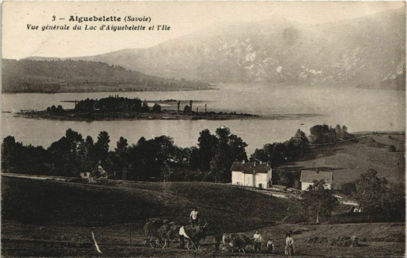 Carte postale ancienne Aigubelette Vue Generale du Lac d'Aiguebelette et l'Ile