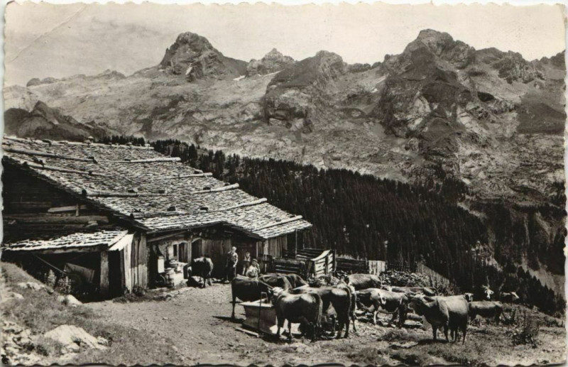 Carte postale ancienne Chalet de Montagne - Chaine des Aravis - Pointe Percee