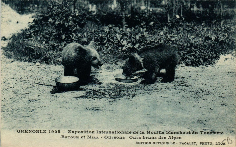 Carte postale ancienne Grenoble 1925 - Expo Internationale de la Houille blanche à Grenoble