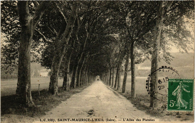 Carte postale ancienne Saint-Maurice-L'Exil - L'Allée des Platanes à Saint-Maurice-l'Exil