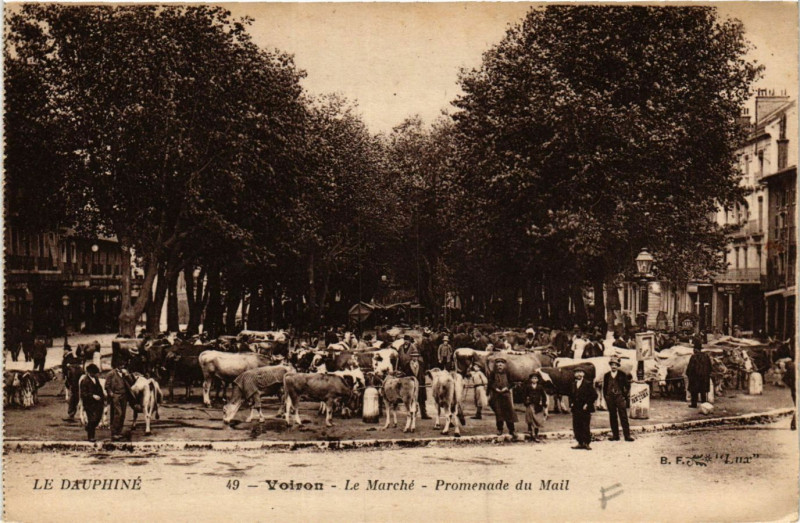 Carte postale ancienne Le Dauphiné - Voiron - Le Marche - Promenade du Mail à Voiron